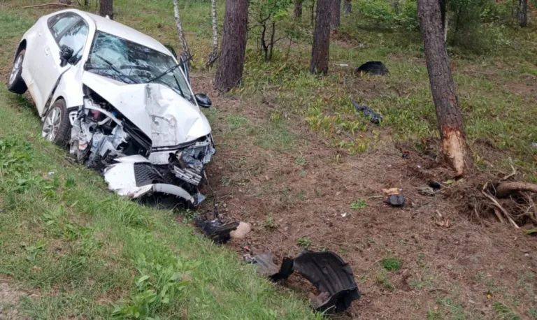 Toyota wjechała do rowu i uderzyła w drzewo. Do zdarzenia doszło w Broku
