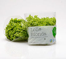 LOLLO BIONDO 250GRM