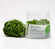 LETTUCE BOSTON 250GRM