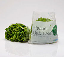 GREEN OAKLEAF 250GRM