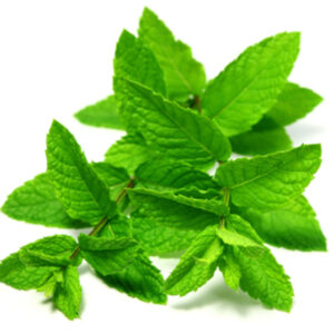 MINT BOX - 10% VAT