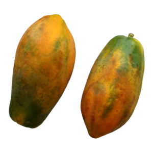 YELLOW PAPAYA KG - 10% VAT