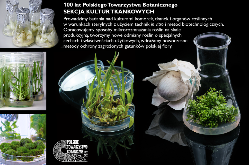 Profil działalności Sekcji Kultur Tkankowych Roślin – tablica powstała z okazji Jubileuszu Stulecia PTB