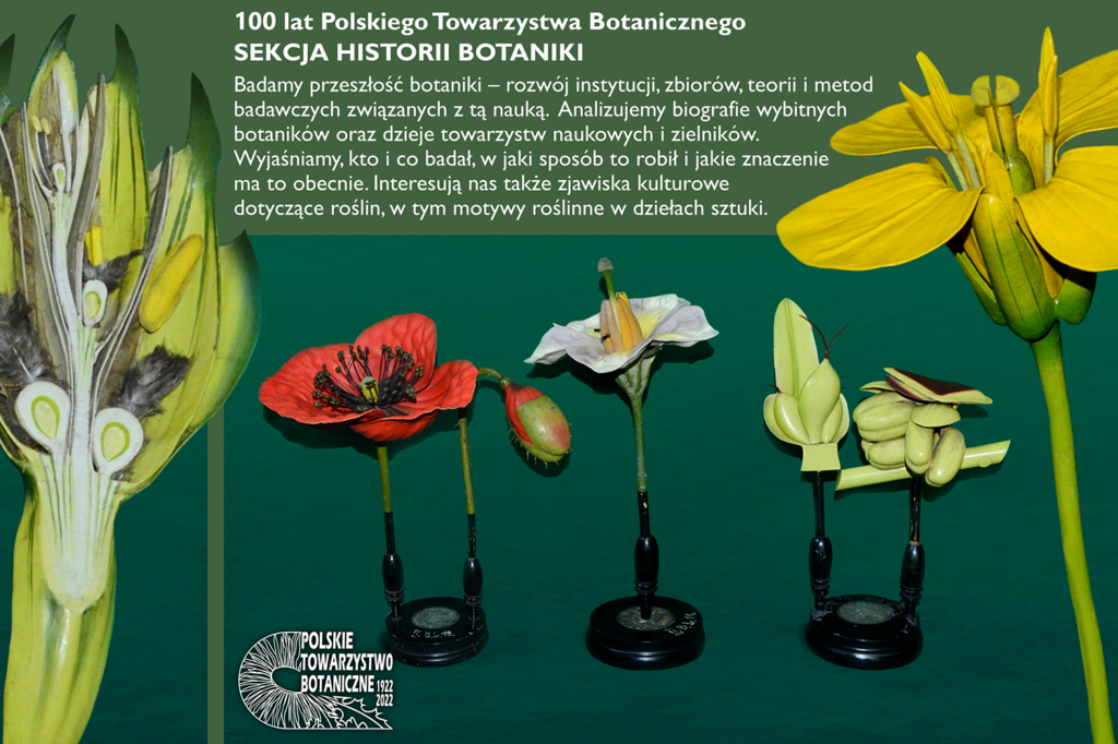 Profil działalności Sekcji Historii Botaniki – tablica powstała z okazji Jubileuszu Stulecia PTB