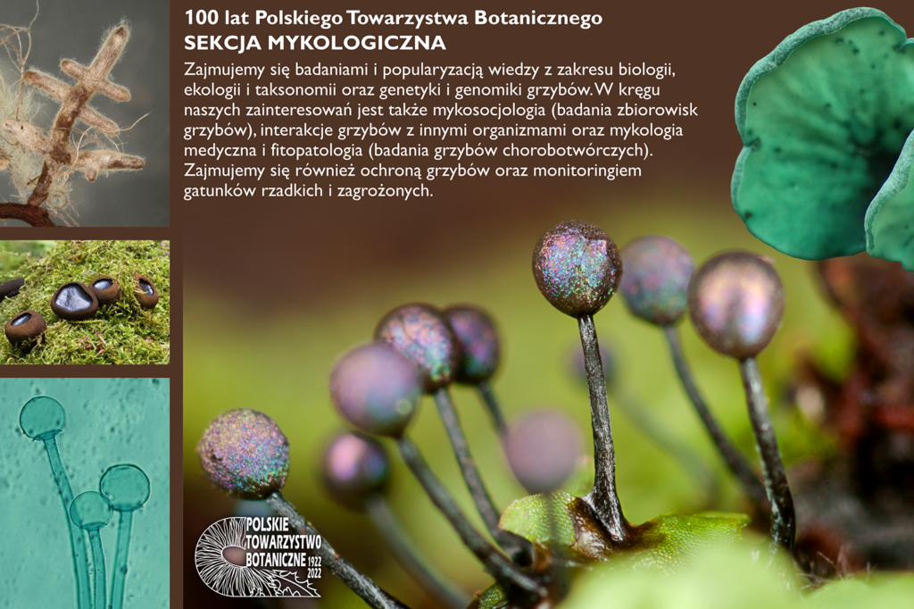 Profil działalności Sekcji Mykologicznej – tablica powstała z okazji Jubileuszu Stulecia PTB