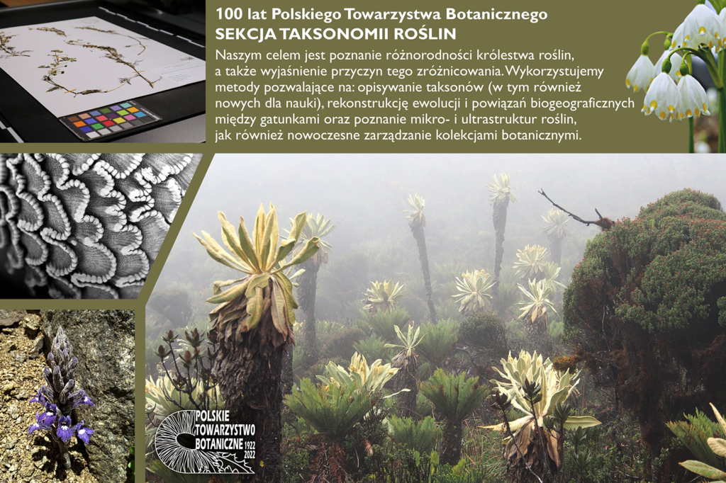 Profil działalności Sekcji Taksonomii Roślin – tablica powstała z okazji Jubileuszu Stulecia PTB