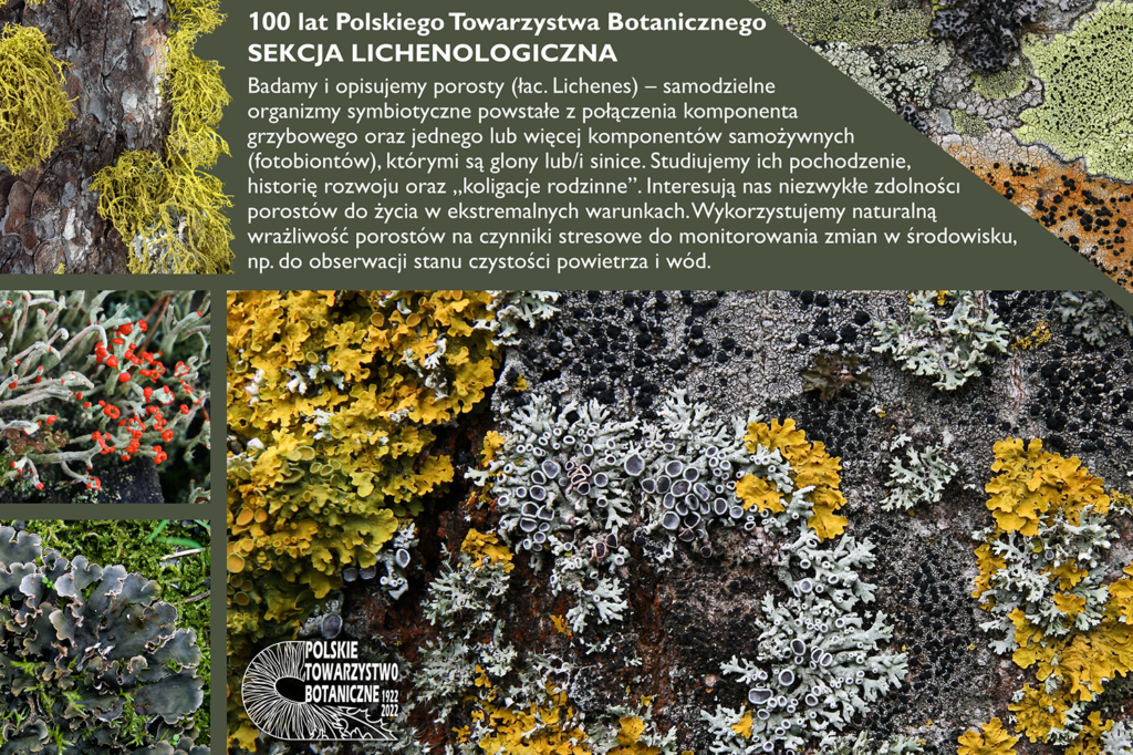 Profil działalności Sekcji Lichenologicznej – tablica powstała z okazji Jubileuszu Stulecia PTB