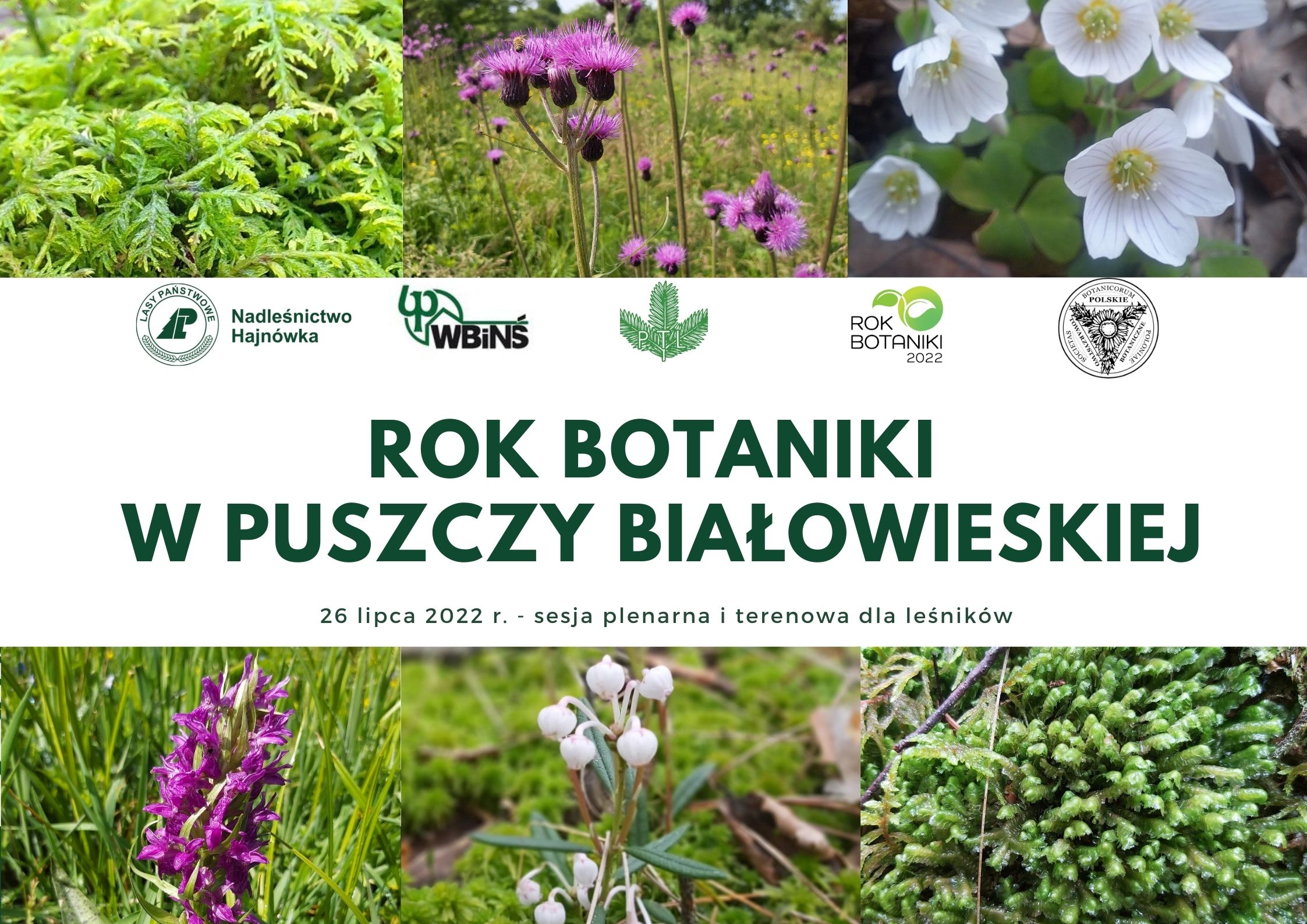 Rok Botaniki w Puszczy Białowieskiej