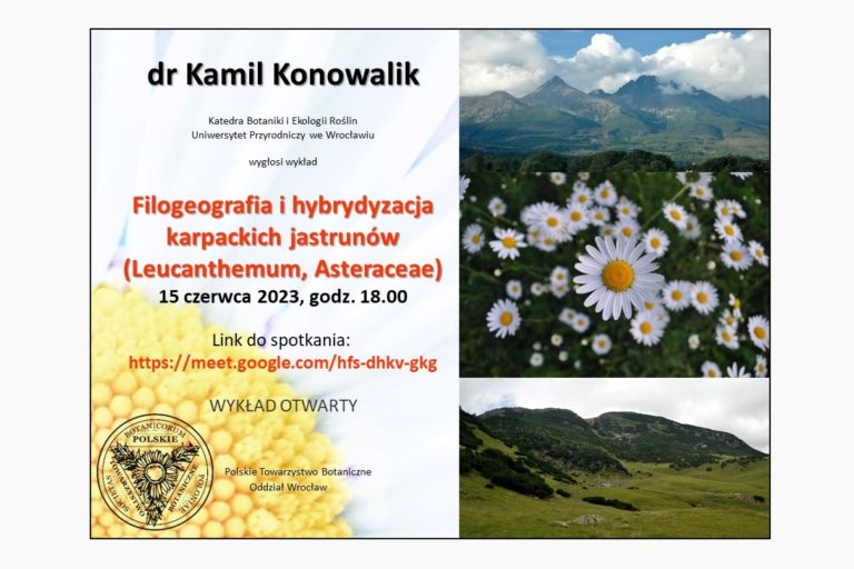 “Filogeografia i hybrydyzacja karpackich jastrunów (Karpaty, Asteraceae)”