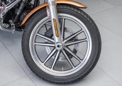 Harley-Davidson Dyna Low Rider FXD L #4483