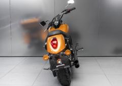 Kawasaki VN 900 #9842