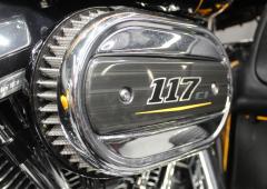 Harley-Davidson CVO Road Glide Limited #3291