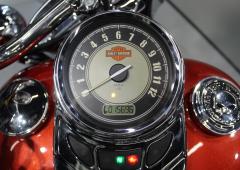 Harley-Davidson Softail Heritage #1504
