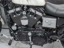 Harley-Davidson Sportster 1200 #8490
