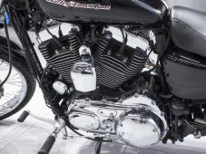 Harley-Davidson Sportster XL 1200 C #4681