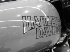 Harley-Davidson Road Glide ST #0100