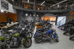 Harley-Davidson Sportster XL883N #2972