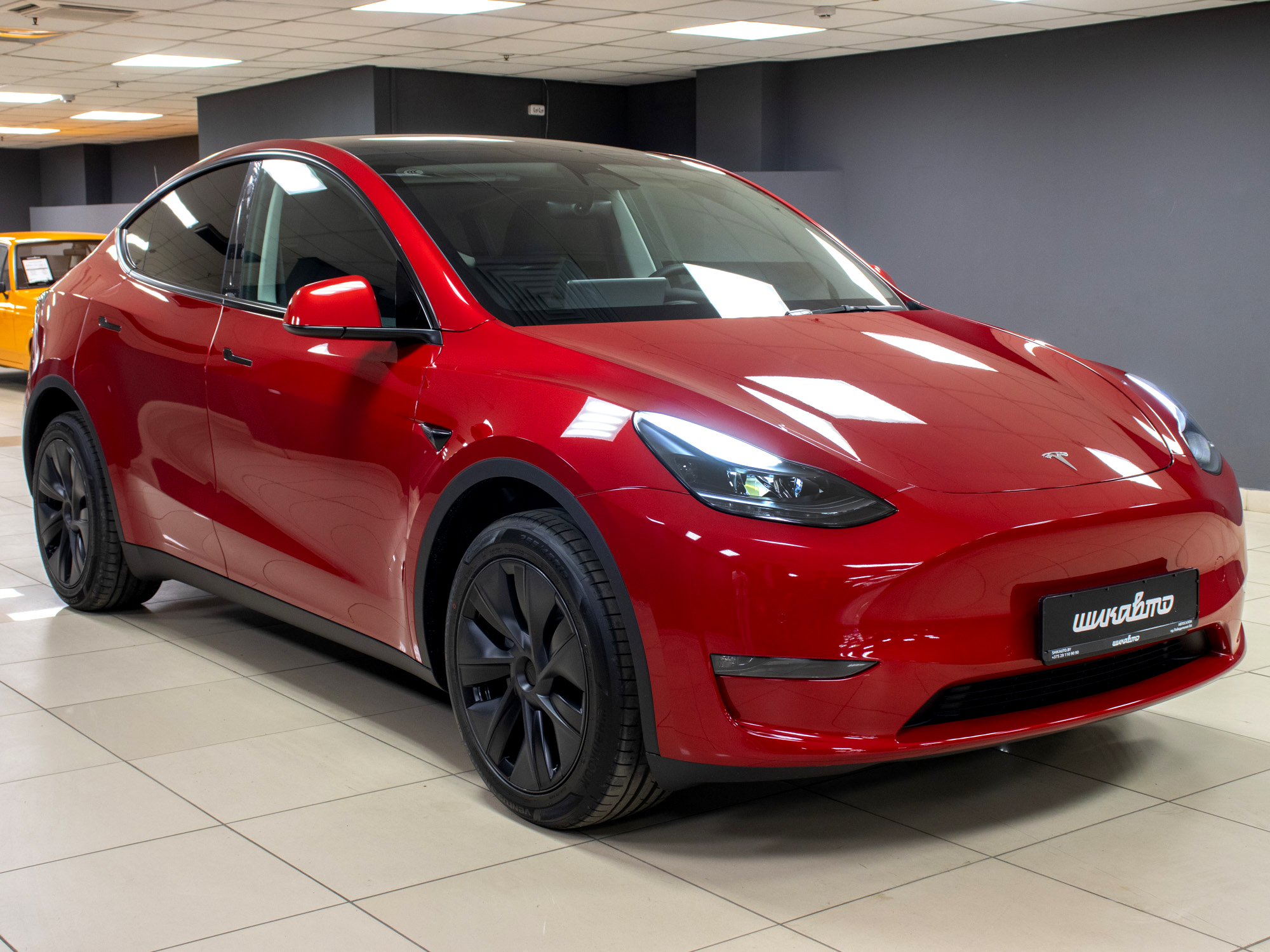 Tesla Model Y RWD