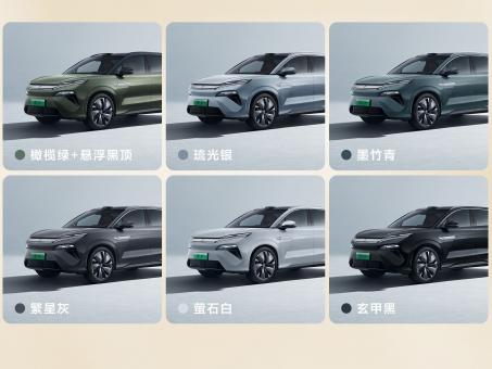 BYD Tang L EV 4WD Flagship