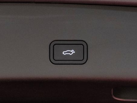 Zeekr 001 100kWh You