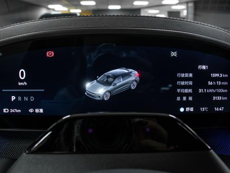 Zeekr 001 100kWh You