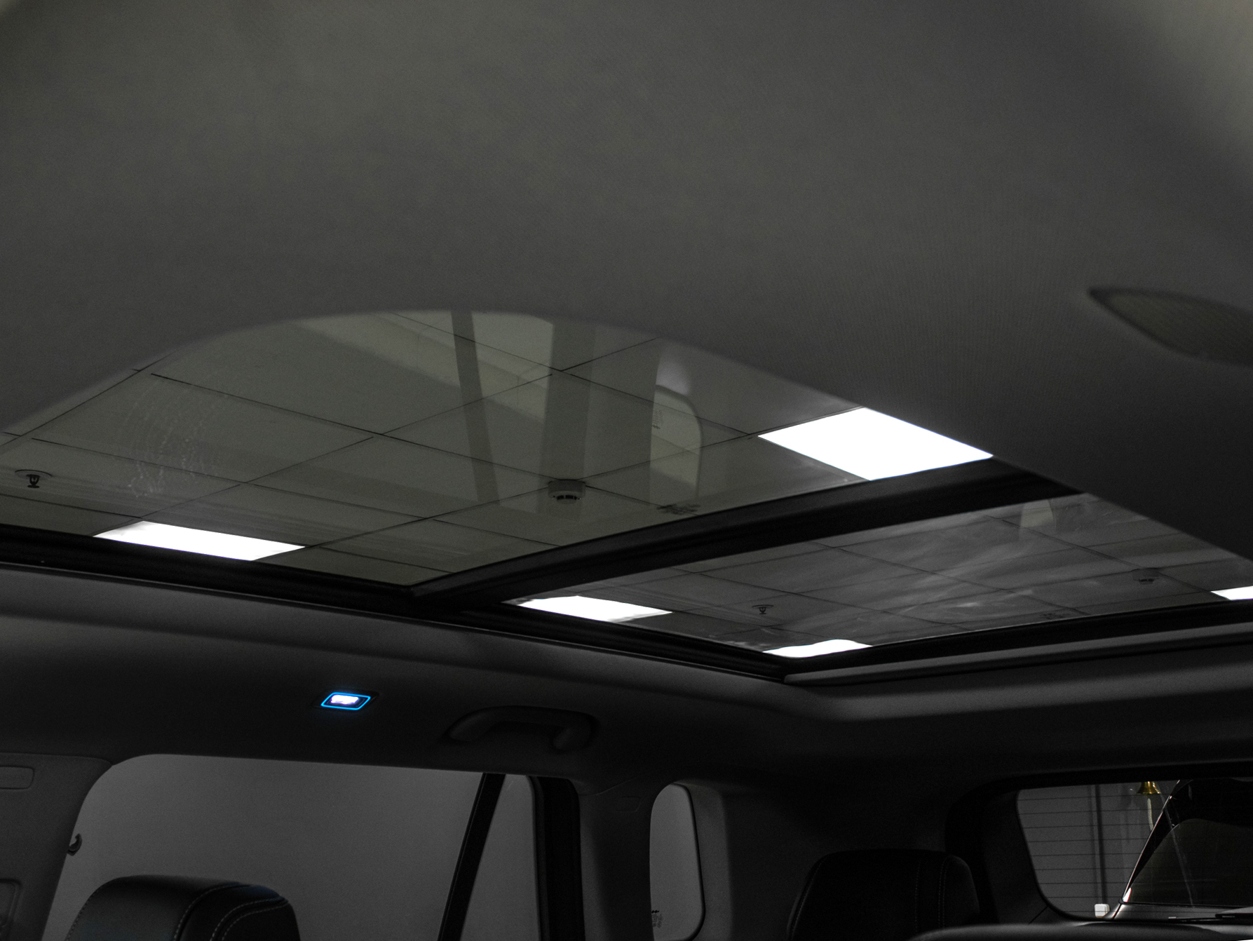 Fang Cheng Bao Titanium 3 Leopard 3