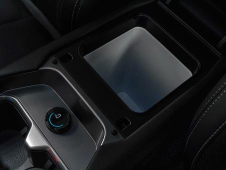 Fang Cheng Bao Titanium 3 Leopard 3