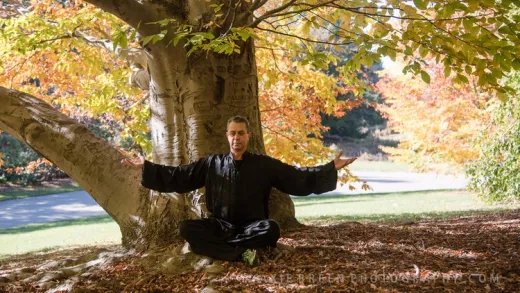 Strengthen Your Immune System with Tai Chi and Qi Gong