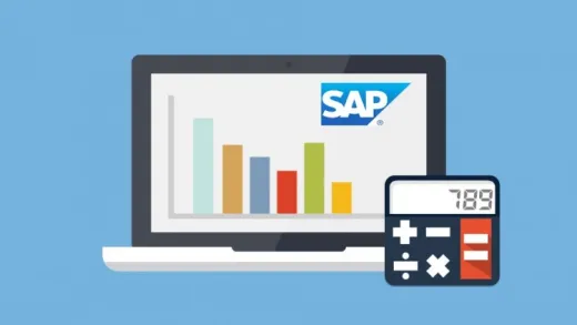 Learn SAP Financial Accounting - Online Training