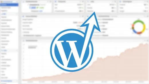 wpSEO - WordPress SEO Grundlagen