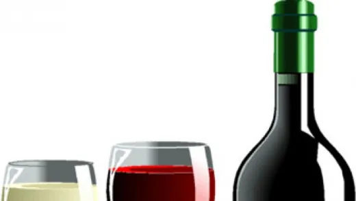 Become a Wine Connoisseur