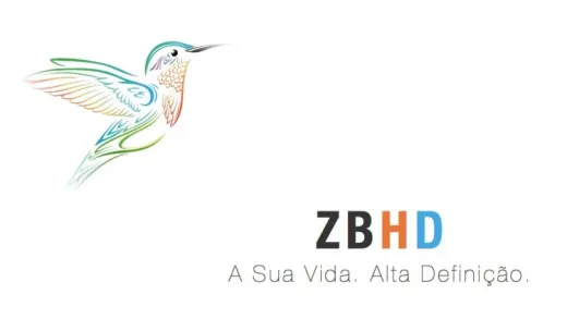 ZBHD - Programa de meditação mindfulness (2013)