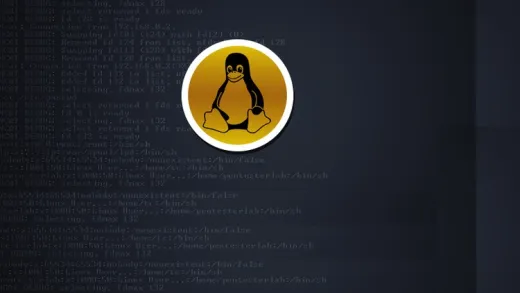 Shell Scripting : Novice to Ninja : With 50 Practice Sets
