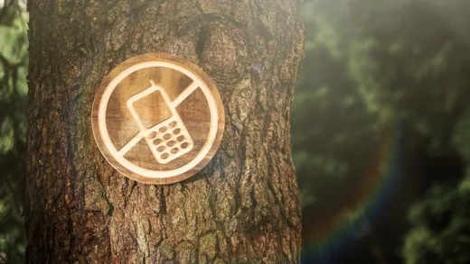 Digital Detox : Detox From The Digital World & Start Living!