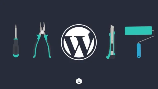 Wordpress für Beginner - Agenturwissen schnell und kompakt