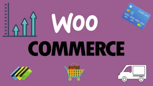 Woo Plugins - A Guide on the Best Plugins for WooCommerce