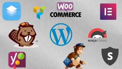 The Complete Guide to the Best 200 WordPress Plugins
