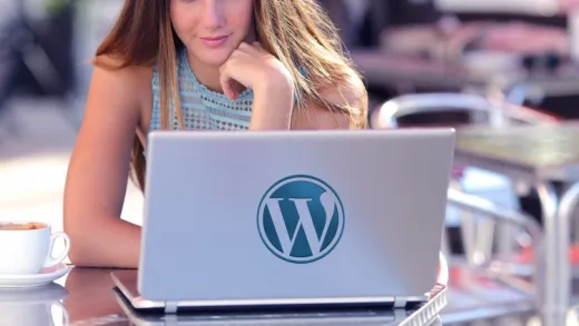 WordPress for Beginners