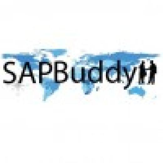Profile photo of SAP Buddy