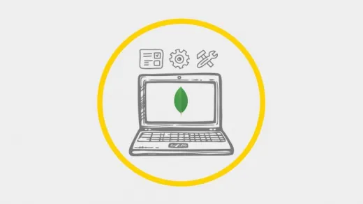 Working with MongoDB