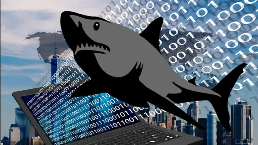 Hacking und Netzwerkanalyse mit Wireshark - Der Komplettkurs