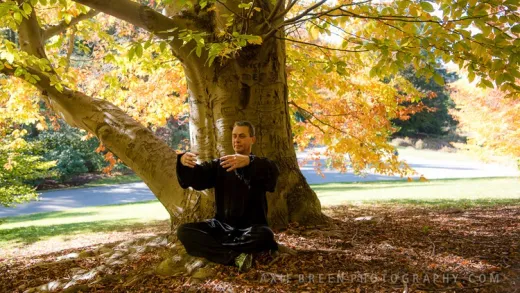 Alleviate Upper Back and Neck Pain with Tai Chi & QiGong