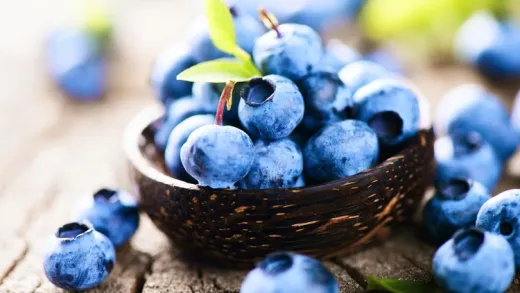 Herbalism :: Wild Edible Plants for High Nutrition