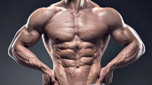 Body Building Guide:  Muscle Building For Beginners!