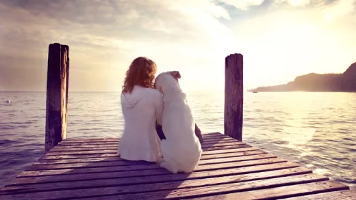 Animal Communication - Intermediate