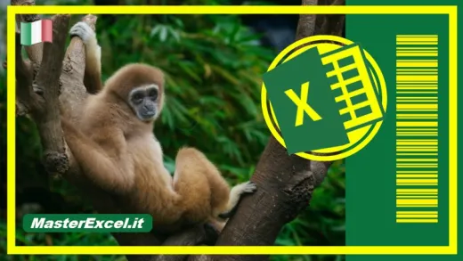 Corso di Excel: Gestione con Codici a Barre