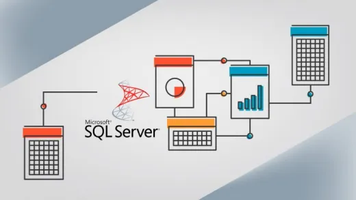Curso Práctico SQL Server Reporting Services 2012 (SSRS) 