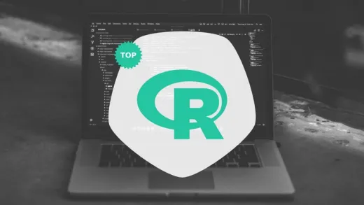 R für Data Science, Visualisierung und Machine Learning