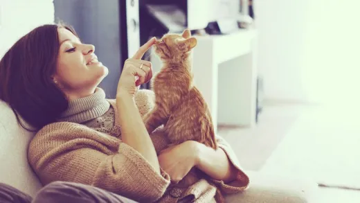 Animal Communication - Animals and the Afterlife