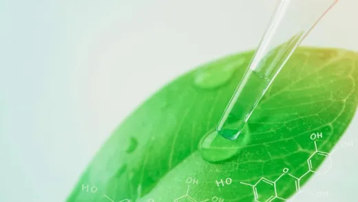 What are Aromatic Compounds